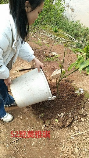 衡陽市蒸湘區(qū)仁愛實驗中學(xué)|衡陽全日制|全寄宿|全封閉|半月假制初級中學(xué)