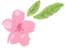 衡陽市蒸湘區(qū)仁愛實(shí)驗中學(xué)|衡陽全日制|全寄宿|全封閉|半月假制初級中學(xué) 衡陽市蒸湘區(qū)仁愛實(shí)驗中學(xué)|衡陽全日制|全寄宿|全封閉|半月假制初級中學(xué)